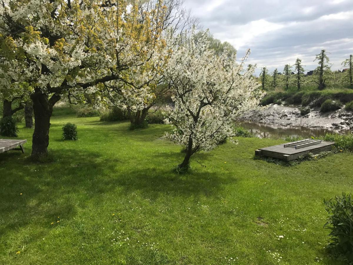 Gaestehaus Weidenkoerbchen Jork Dış mekan fotoğraf